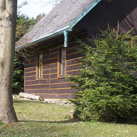 Chata Dvorečná Villa Loučovice Exterior foto