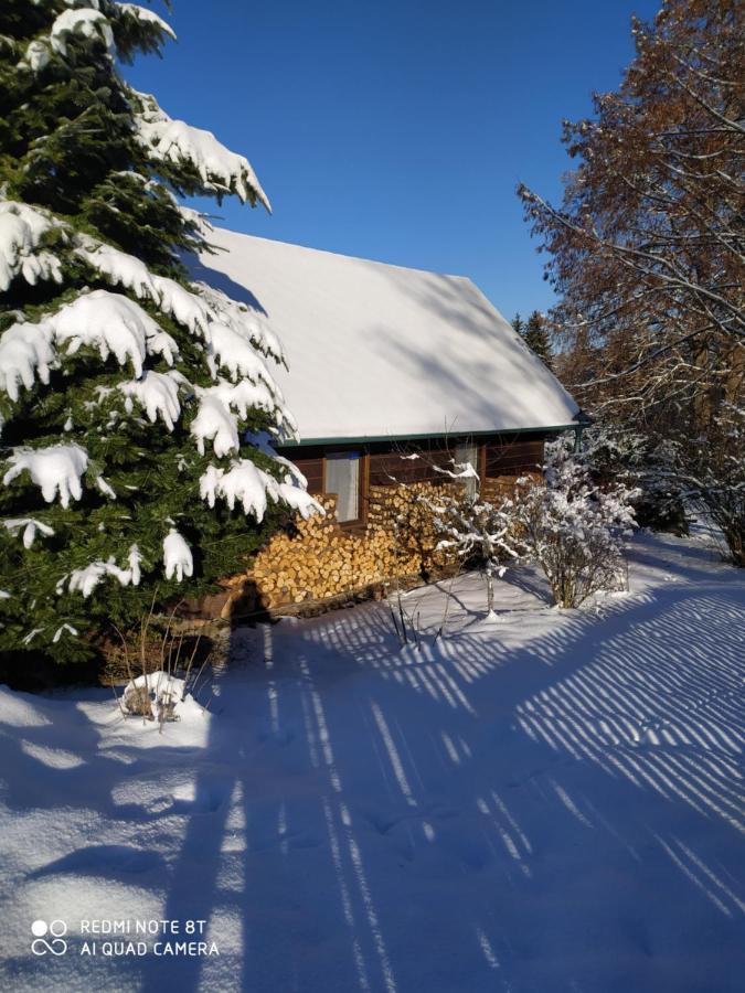 Chata Dvorečná Villa Loučovice Exterior foto