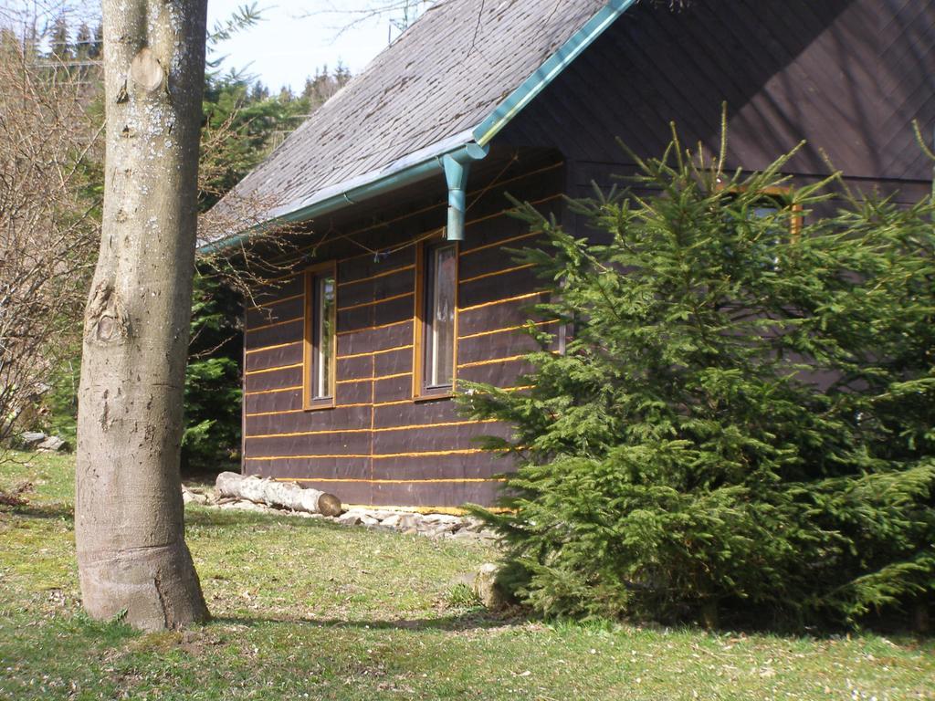Chata Dvorečná Villa Loučovice Exterior foto