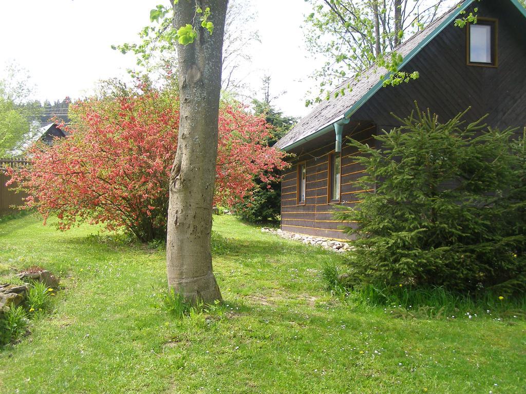 Chata Dvorečná Villa Loučovice Exterior foto