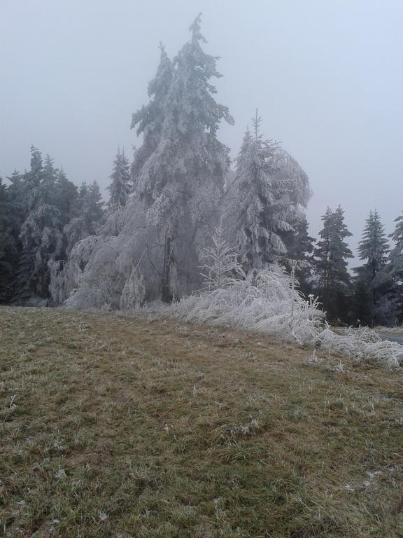 Chata Dvorečná Villa Loučovice Exterior foto